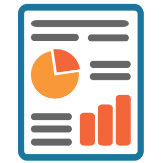 Summary & Statement Reports